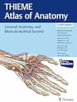 Neck and Internal Organs (Thieme Atlas of Anatomy) Schuenke， Michael? Schulte， Erik? Schumacher， Udo; Rude， Juergen Neck and Internal Organs (THIEME Atlas of Anatomy